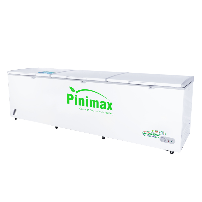 Tủ đông Pinimax PNM119AF3