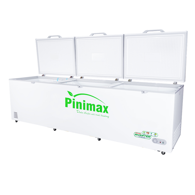 Tủ đông Pinimax PNM119AF3