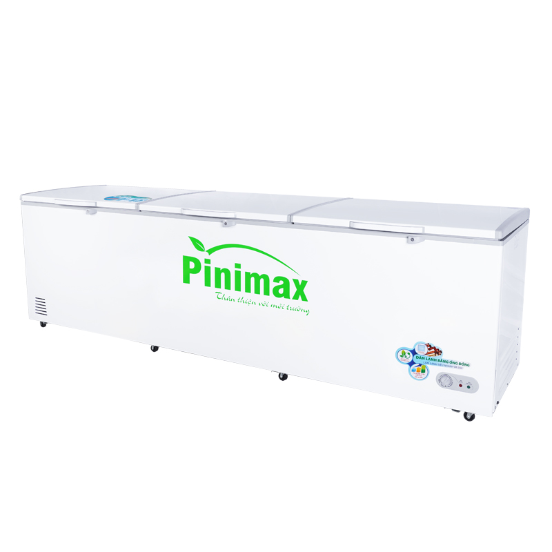 Tủ đông Pinimax PNM139AF