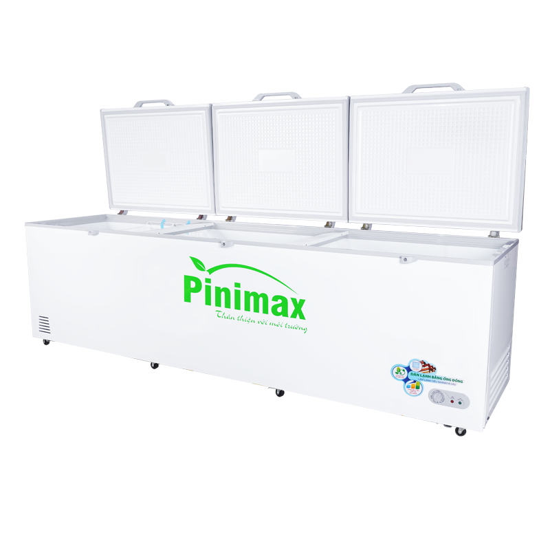 Tủ đông Pinimax PNM139AF